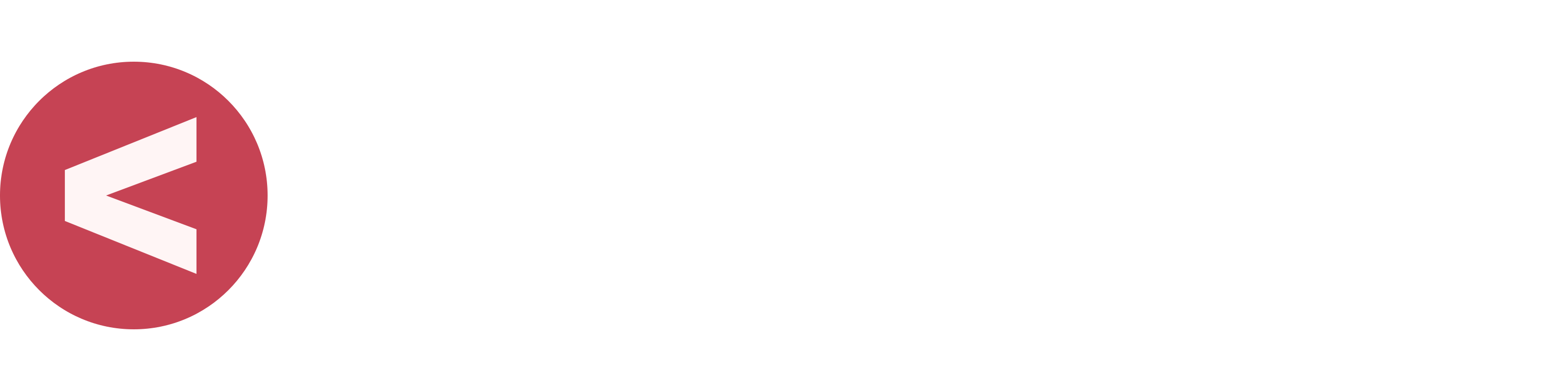 PKNRelonLogo